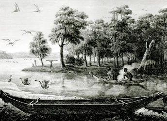 Neuholland: New South Wales